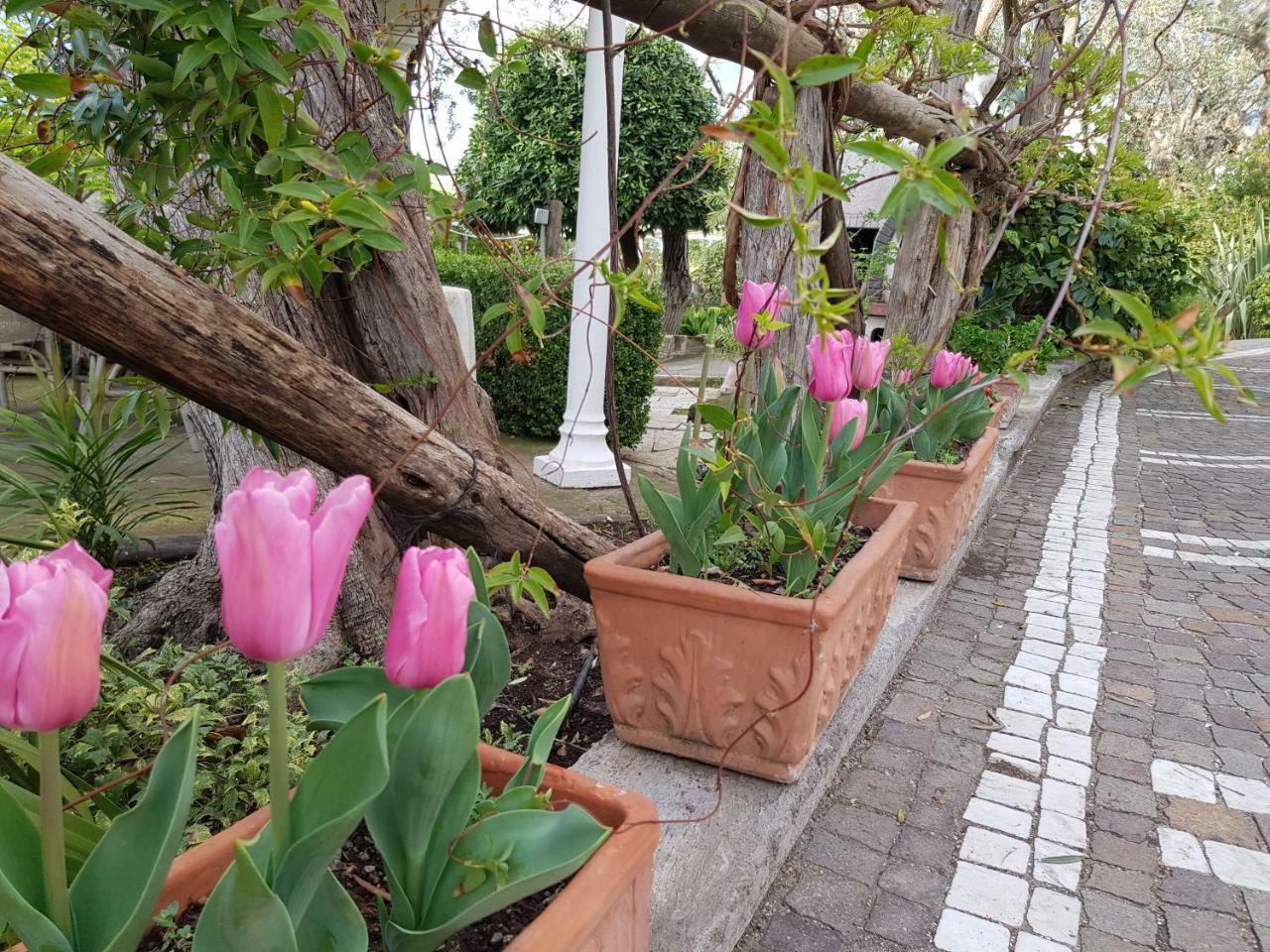 Villa Kalimera Sorrento Exterior photo
